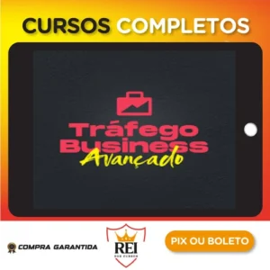 Tráfego Business Avançado - Gabriel Reis Martins